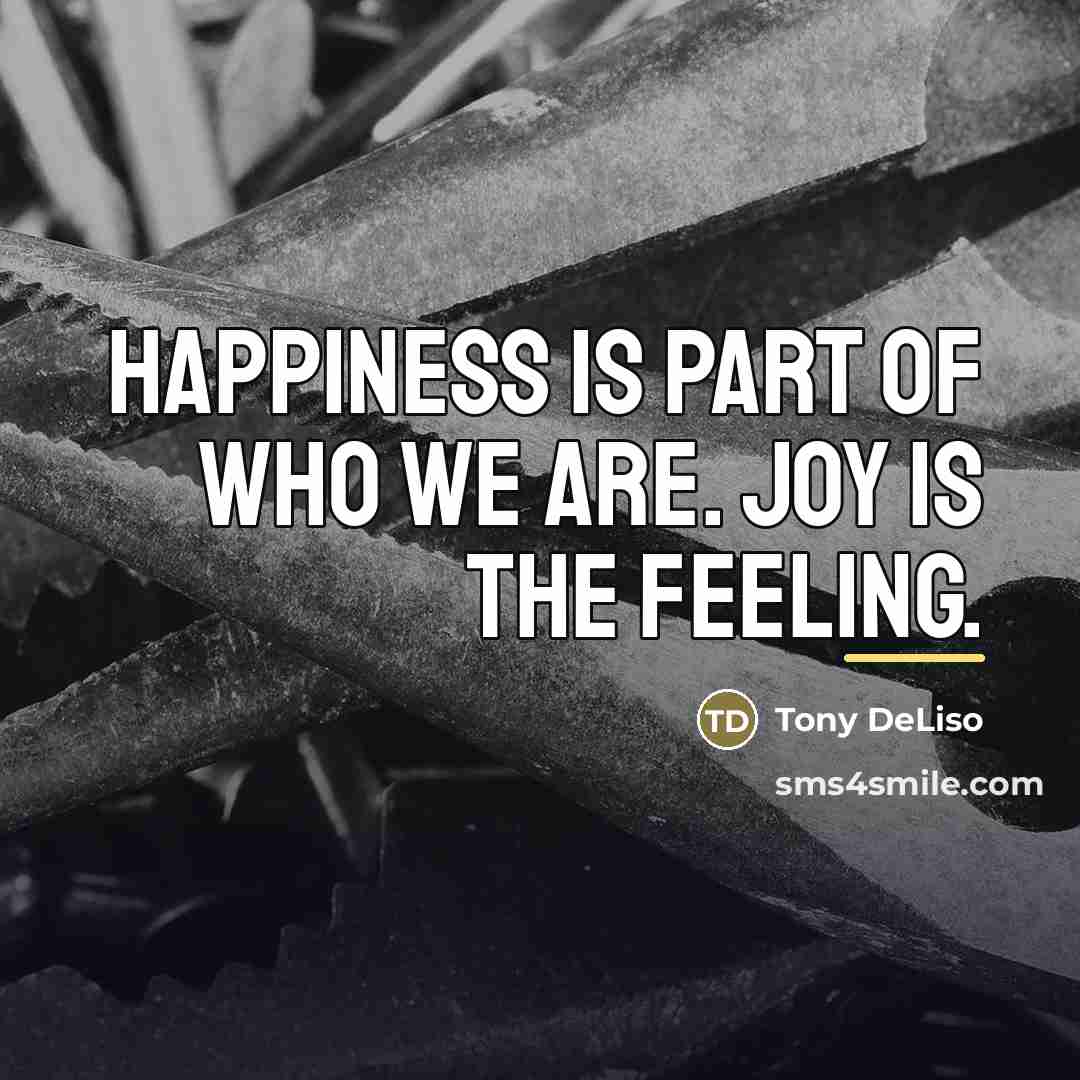 “Happiness is part of who we are. Joy is the…” quote by Anonymous