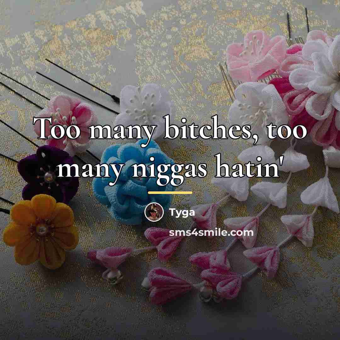 “Too many bitches, too many niggas hatin'…” quote by Tyga