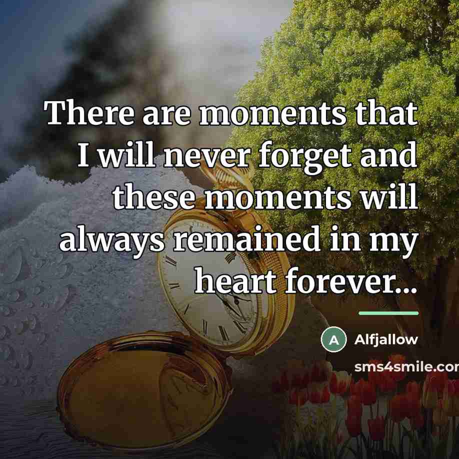 “There are moments that I will never forget and these…” quote by Alfjallow