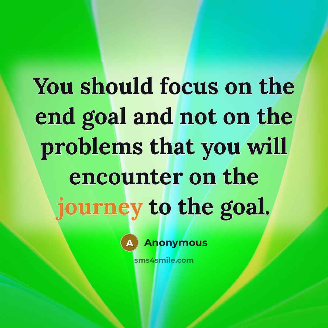 “You should focus on the end goal and not on…” quote by Anonymous