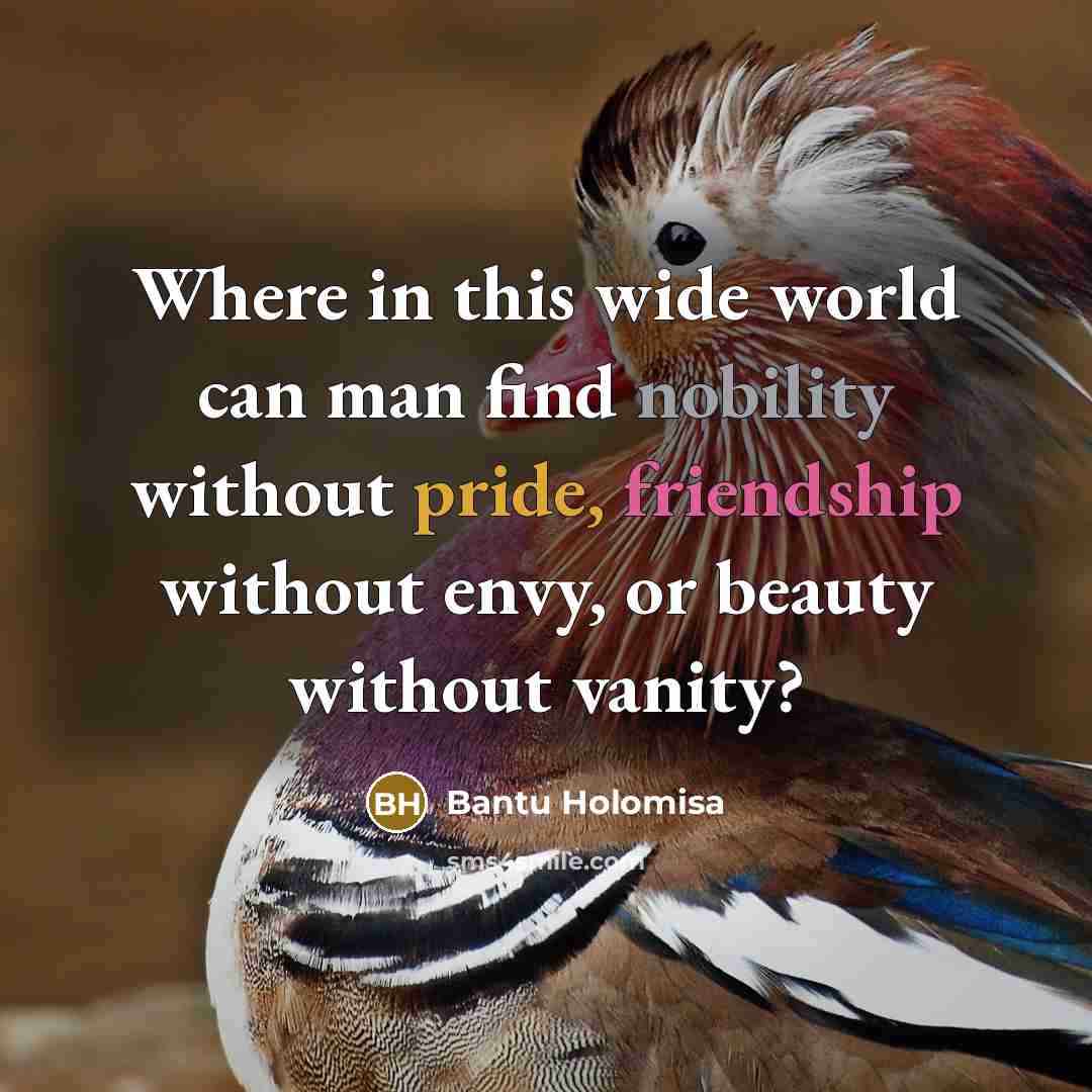 “Where in this wide world can man find nobility without…” quote by Bantu Holomisa