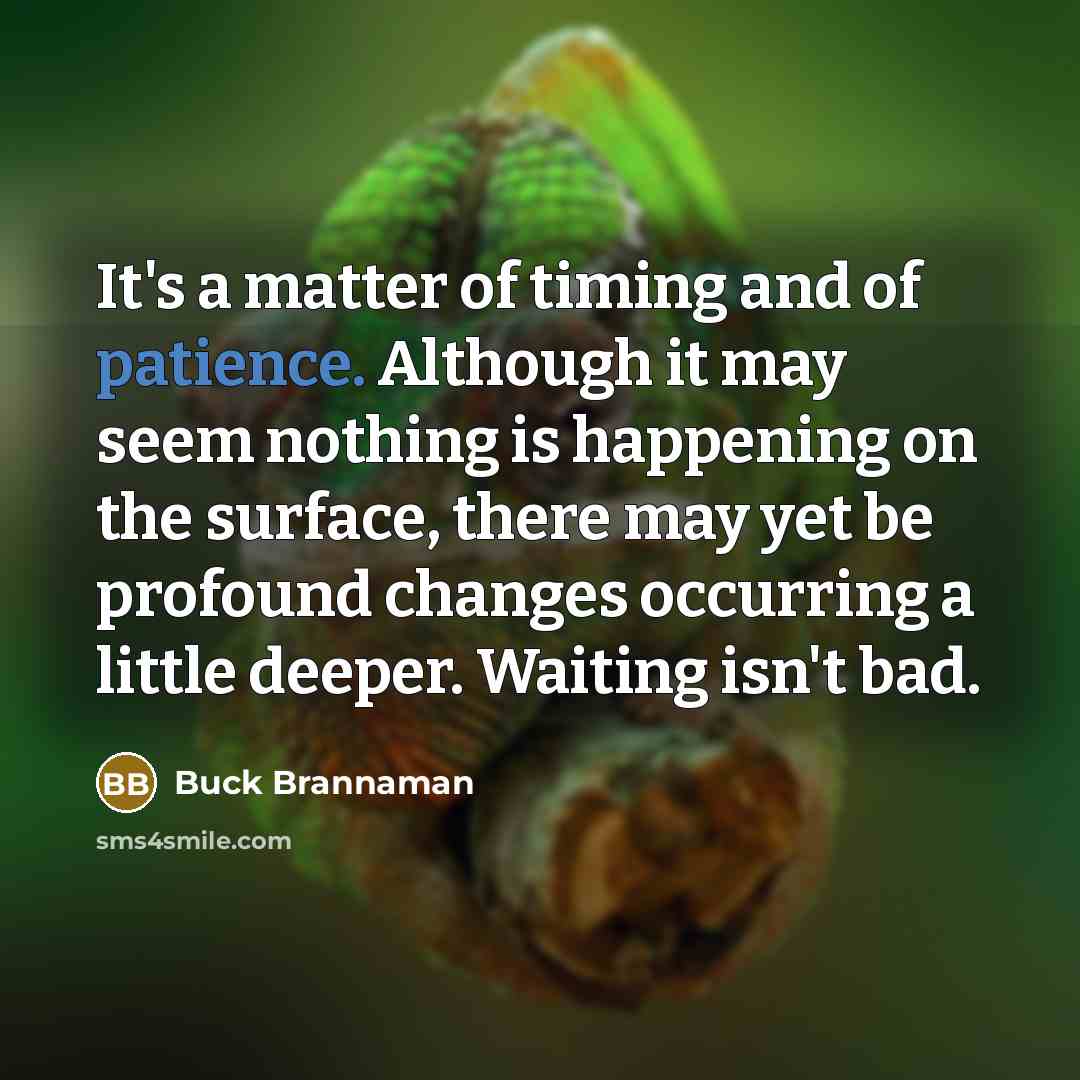 “It's a matter of timing and of patience. Although it…” quote by Buck Brannaman