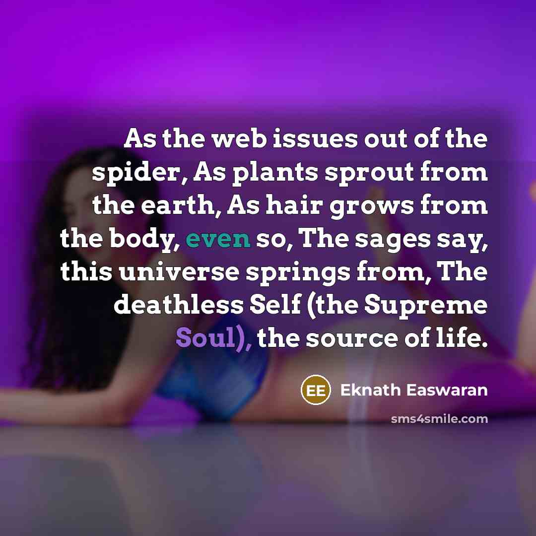 “As the web issues out of the spider, As plants…” quote by Eknath Easwaran