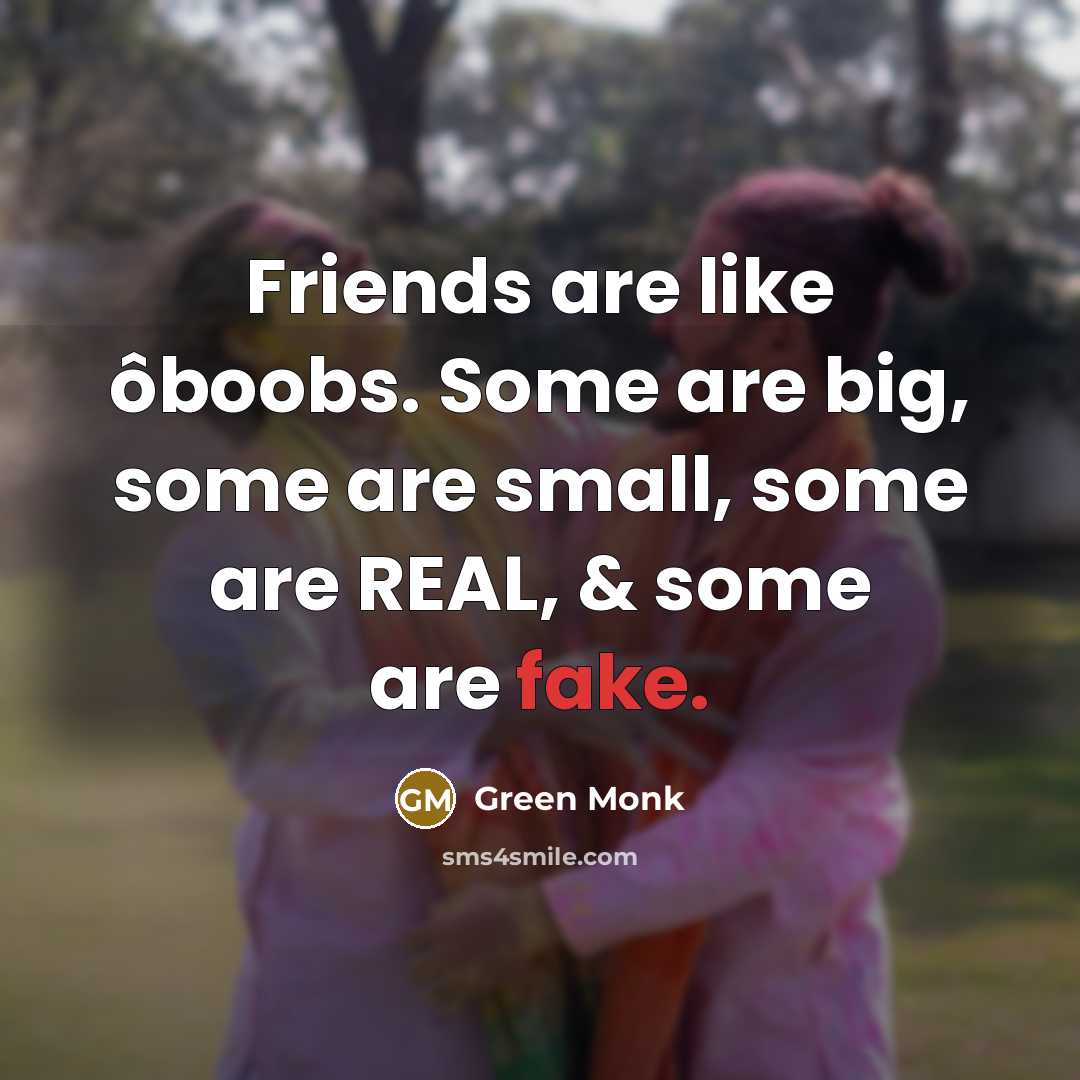 “Friends are like ôboobs. Some are big, some are small,…” quote by Green Monk