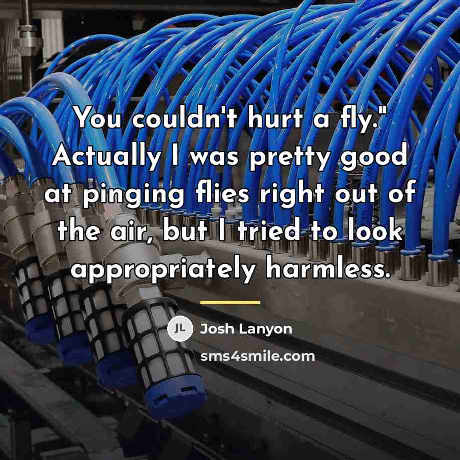 “You couldn't hurt a fly." Actually I was pretty good…” quote by Josh Lanyon