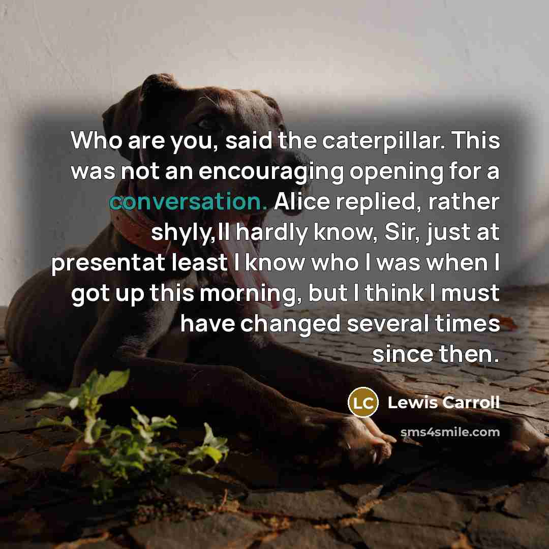 “Who are you, said the caterpillar. This was not an…” quote by Lewis Carroll