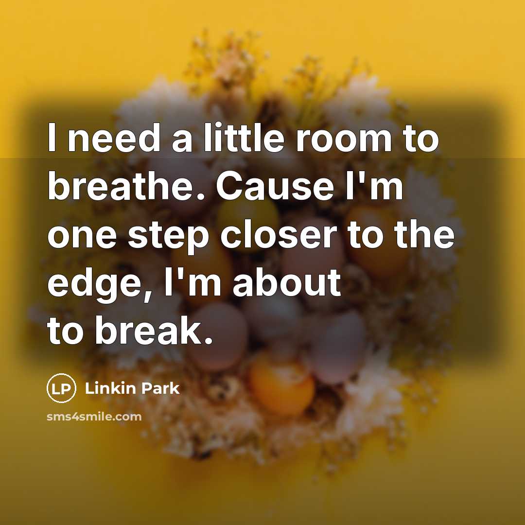 “I need a little room to breathe. Cause I'm one step closer to the edge, I'm about to break.” quote by Linkin Park