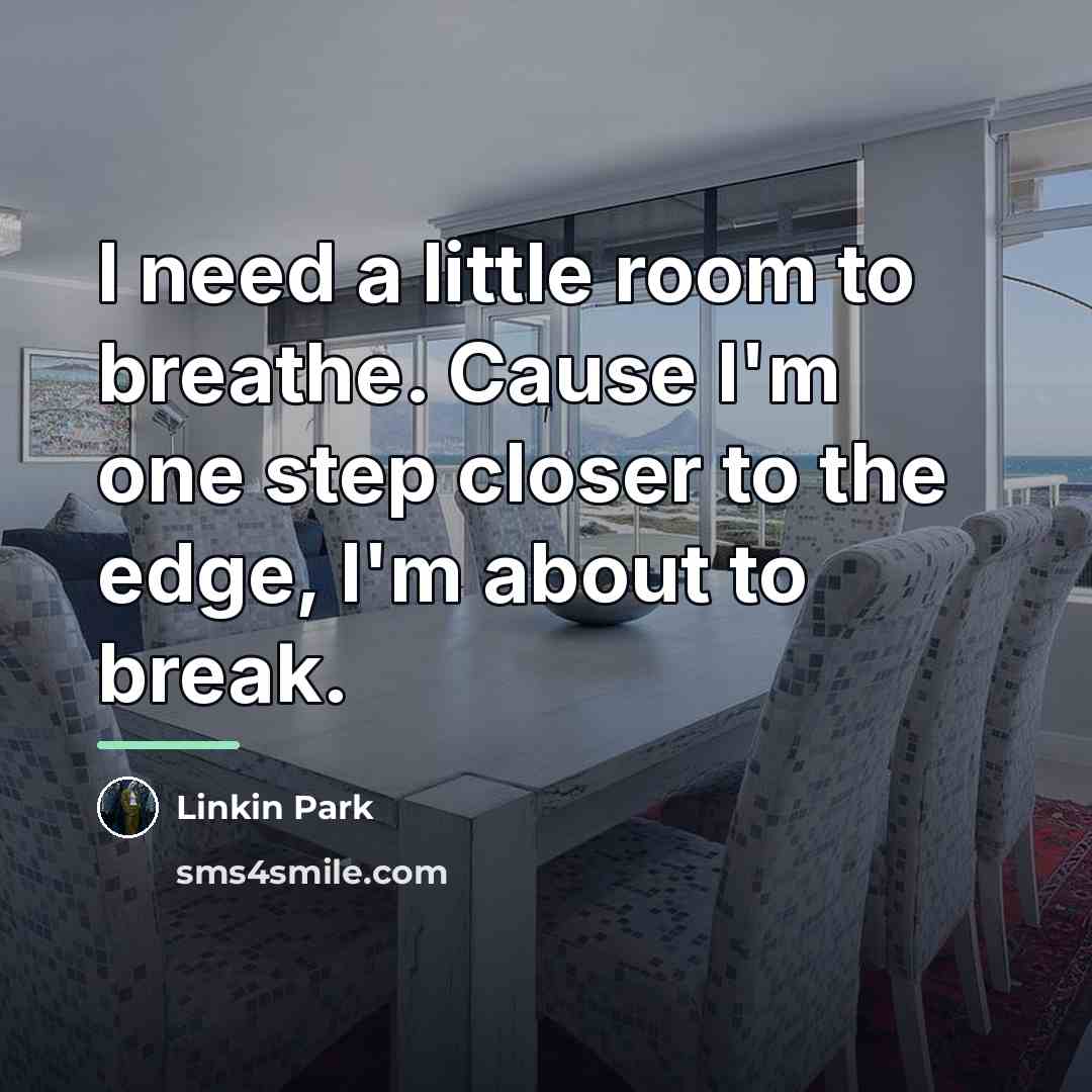 “I need a little room to breathe. Cause I'm one…” quote by Linkin Park