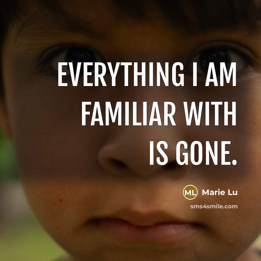 “Everything I am familiar with is gone.…” quote by Marie Lu