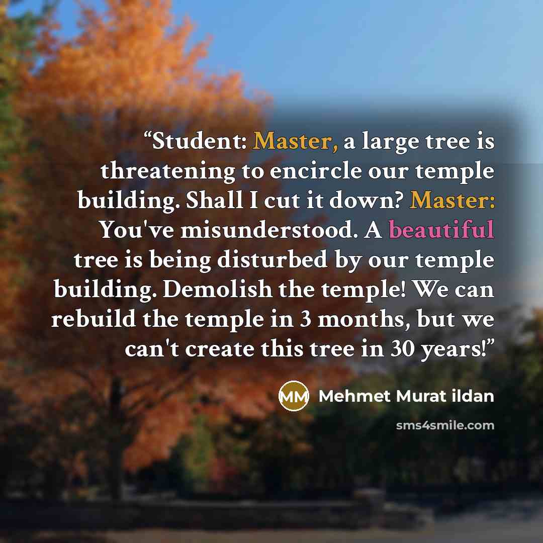“Student: Master, a large tree is threatening to encircle our temple building. Shall I cut it down? Master: You've misunderstood. A beautiful tree is being disturbed by our temple building. Demolish the temple! We can rebuild the temple in 3 months, but we can't create this tree in 30 years!” quote by Mehmet Murat ildan