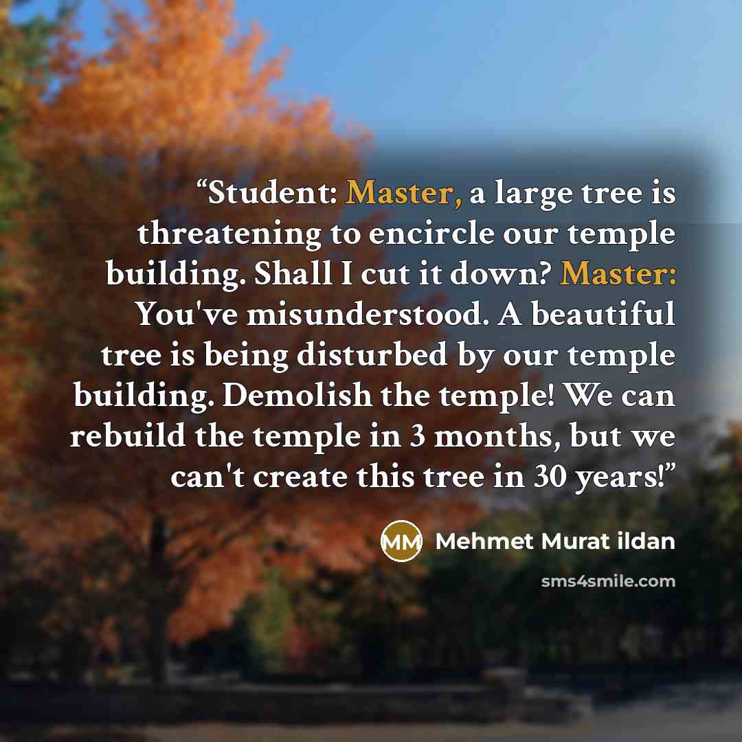 “Student: Master, a large tree is threatening to encircle our temple building. Shall I cut it down? Master: You've misunderstood. A beautiful tree is being disturbed by our temple building. Demolish the temple! We can rebuild the temple in 3 months, but we can't create this tree in 30 years!” quote by Mehmet Murat ildan