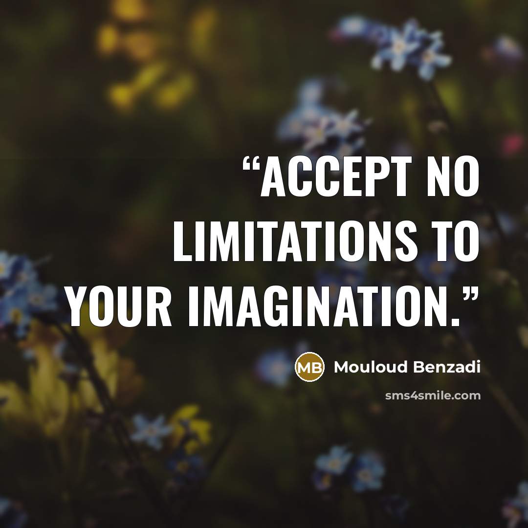 “Accept no LIMITATIONS to your IMAGINATION.” quote by Mouloud Benzadi