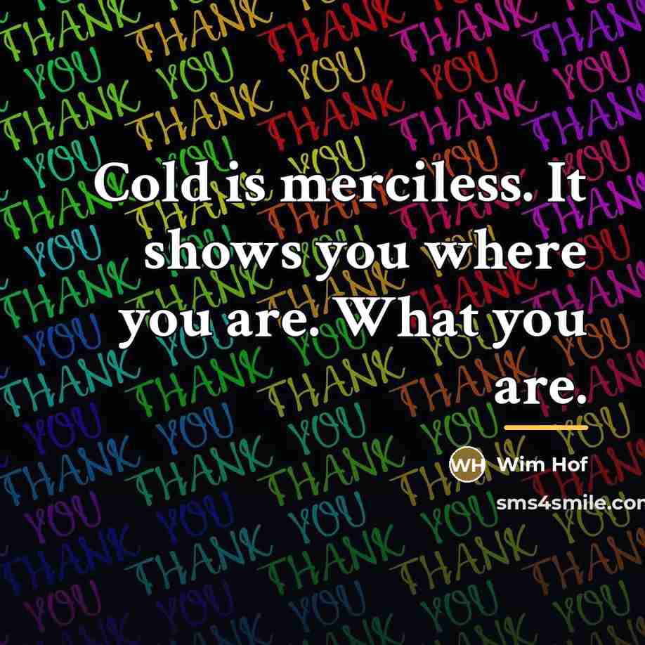 “Cold is merciless. It shows you where you are. What…” quote by Wim Hof