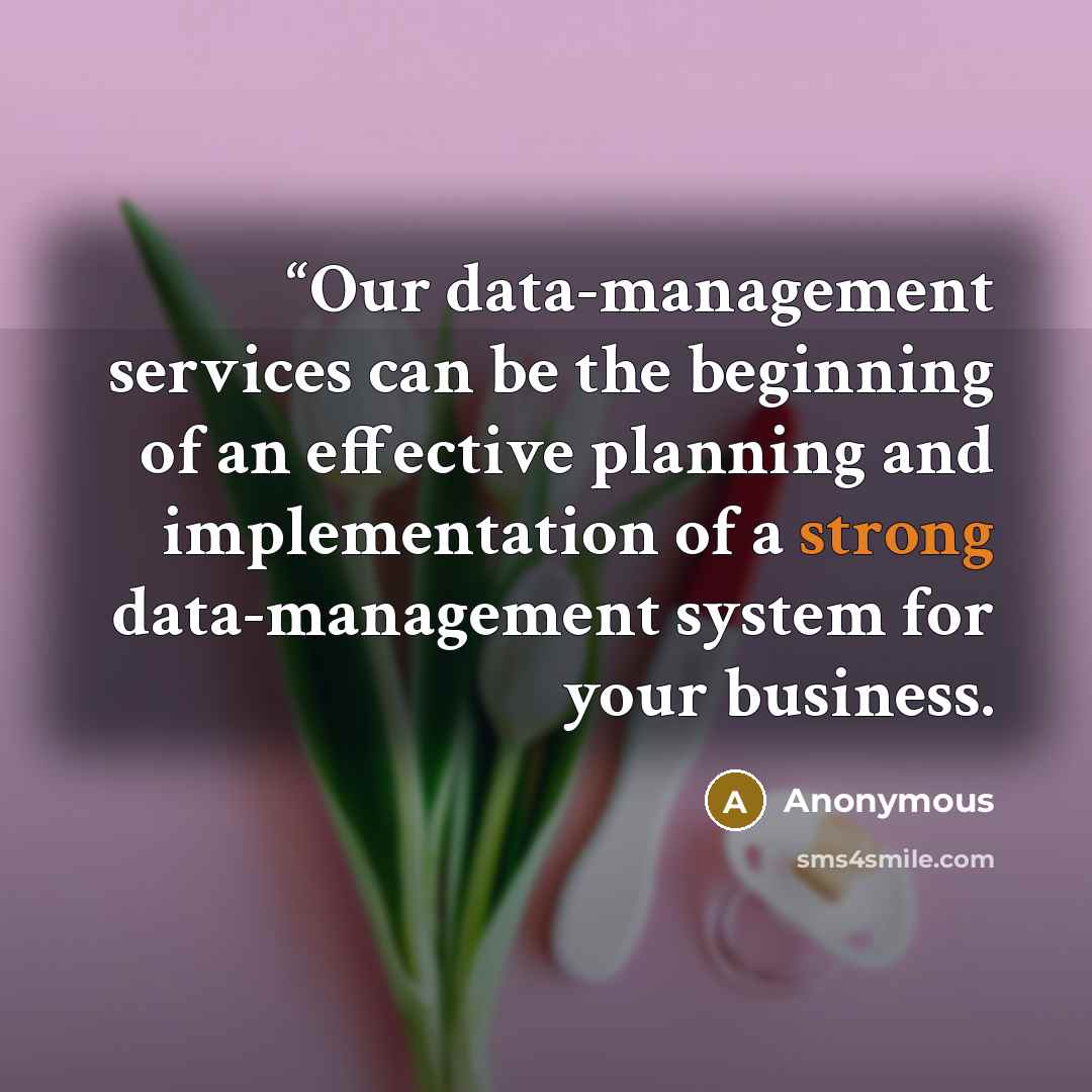 ““Our data-management services can be the beginning of an effective planning and implementation of a strong data-management system for your business.” quote by Anonymous