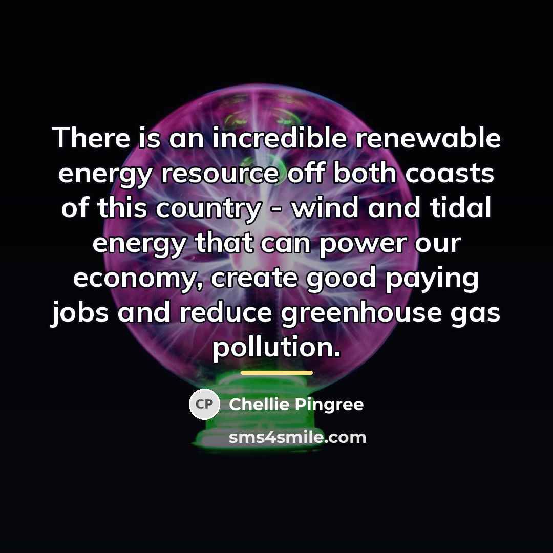 “There is an incredible renewable energy resource off both coasts…” quote by Chellie Pingree