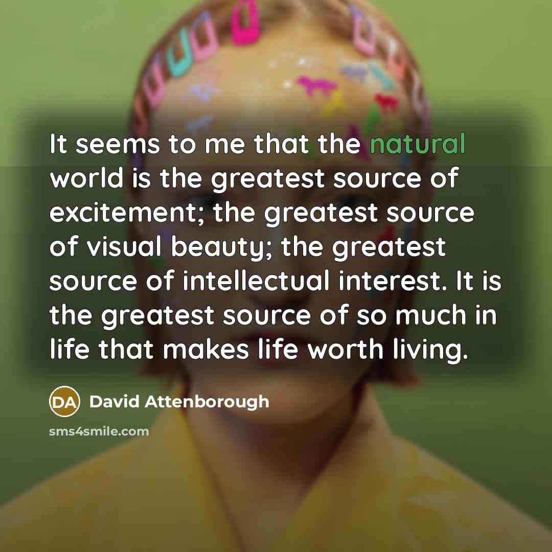 “It seems to me that the natural world is the…” quote by David Attenborough