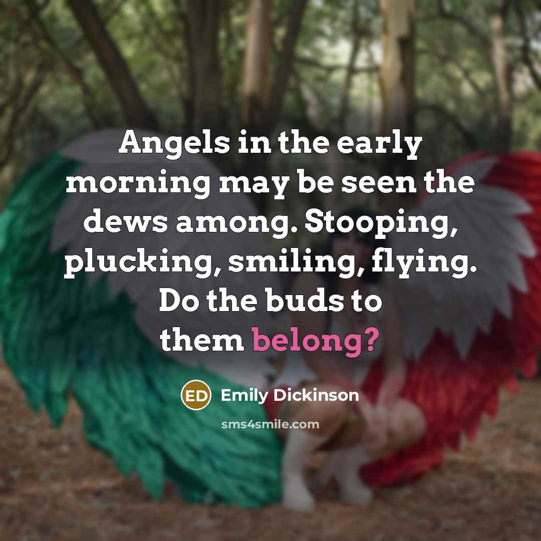 “Angels in the early morning may be seen the dews…” quote by Emily Dickinson