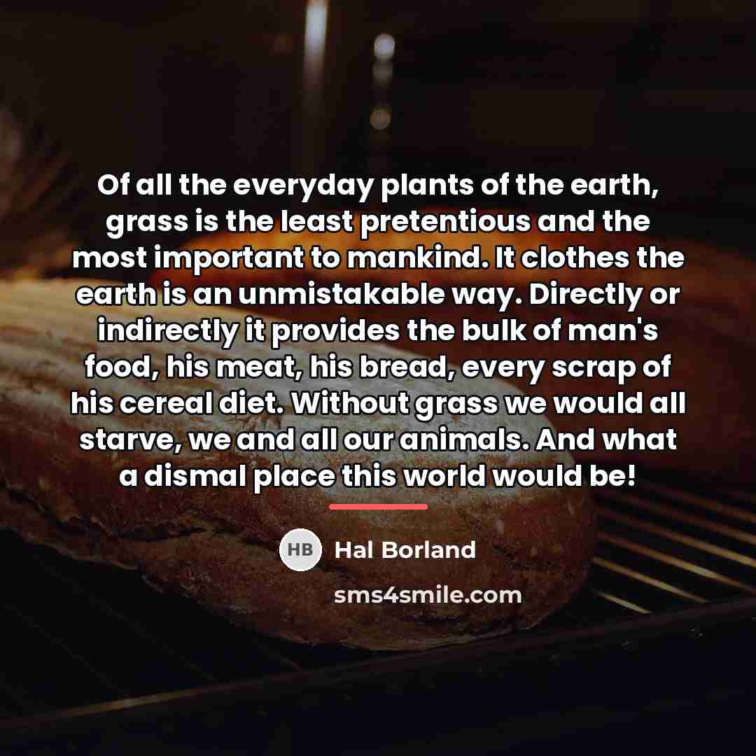 “Of all the everyday plants of the earth, grass is…” quote by Hal Borland