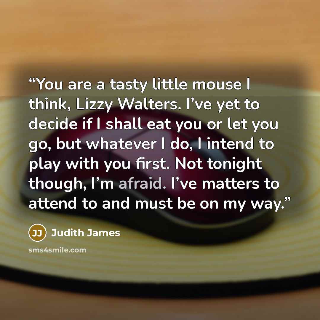 “You are a tasty little mouse I think, Lizzy Walters. I’ve yet to decide if I shall eat you or let you go, but whatever I do, I intend to play with you first. Not tonight though, I’m afraid. I’ve matters to attend to and must be on my way.” quote by Judith James
