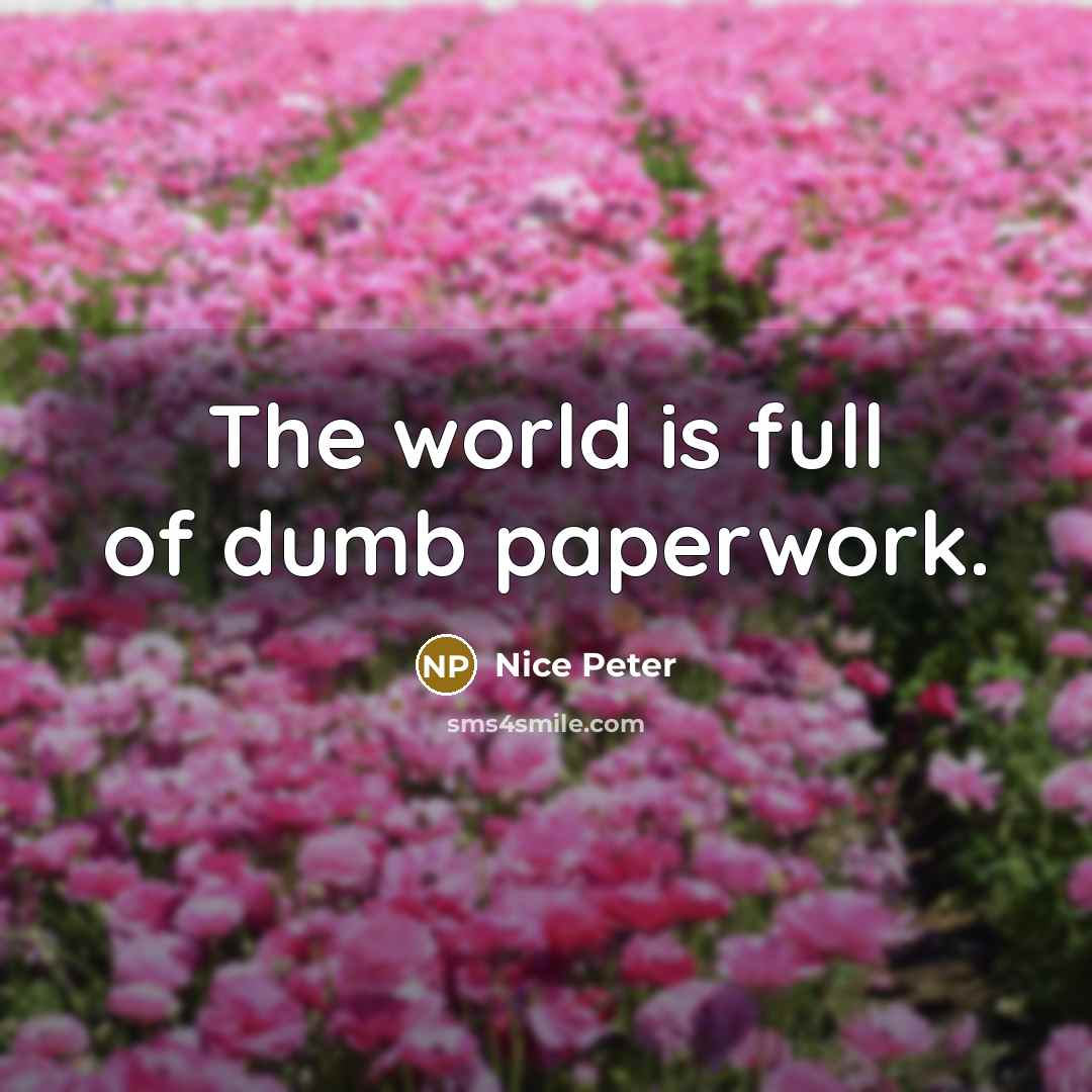 “The world is full of dumb paperwork.…” quote by Nice Peter