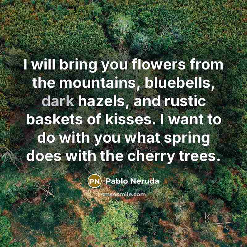 “I will bring you flowers from the mountains, bluebells, dark…” quote by Pablo Neruda