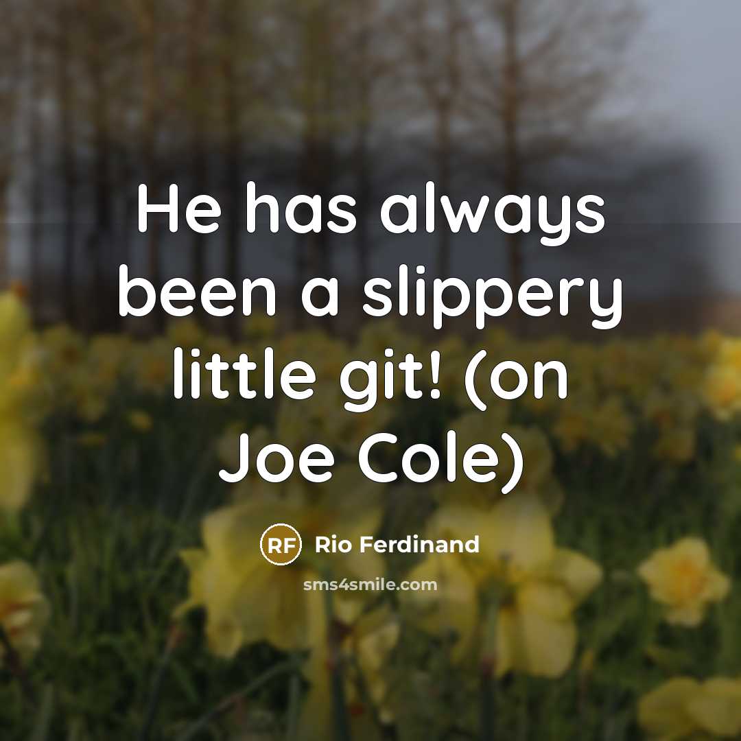 “He has always been a slippery little git! (on Joe Cole)” quote by Rio Ferdinand