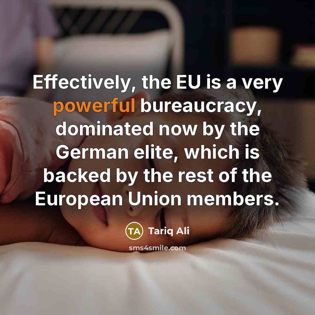“Effectively, the EU is a very powerful bureaucracy, dominated now…” quote by Tariq Ali