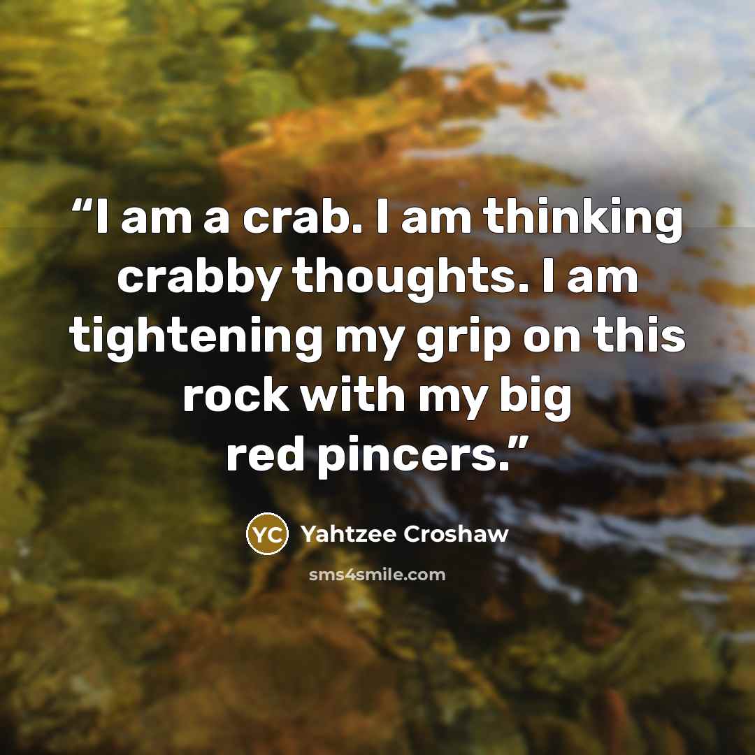 “I am a crab. I am thinking crabby thoughts. I am tightening my grip on this rock with my big red pincers.” quote by Yahtzee Croshaw