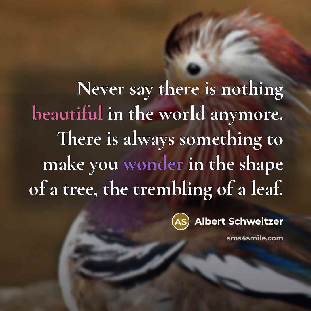 “Never say there is nothing beautiful in the world anymore.…” quote by Albert Schweitzer
