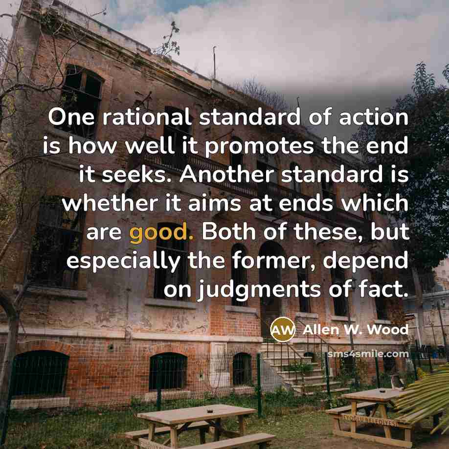 “One rational standard of action is how well it promotes…” quote by Allen W. Wood