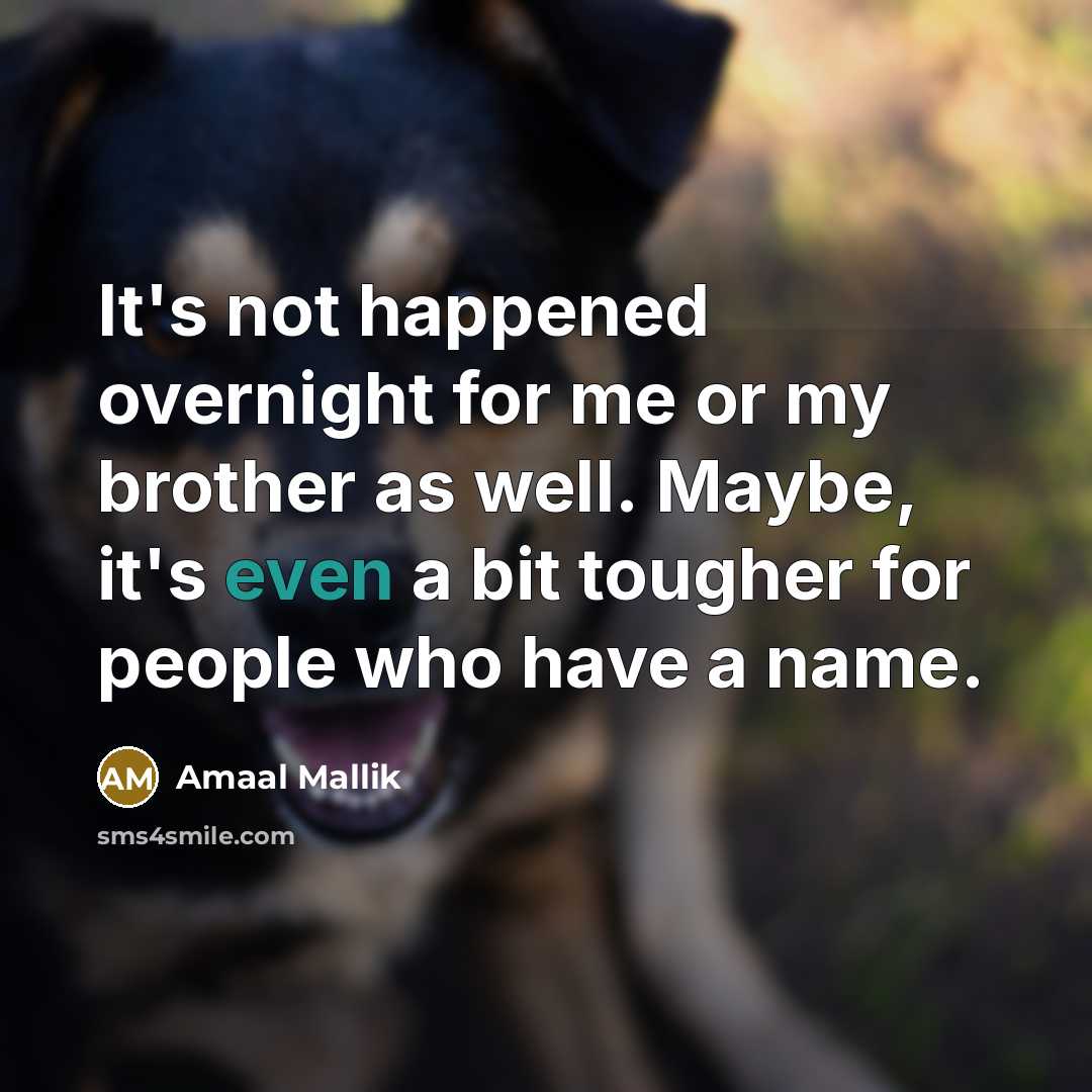 “It's not happened overnight for me or my brother as…” quote by Amaal Mallik