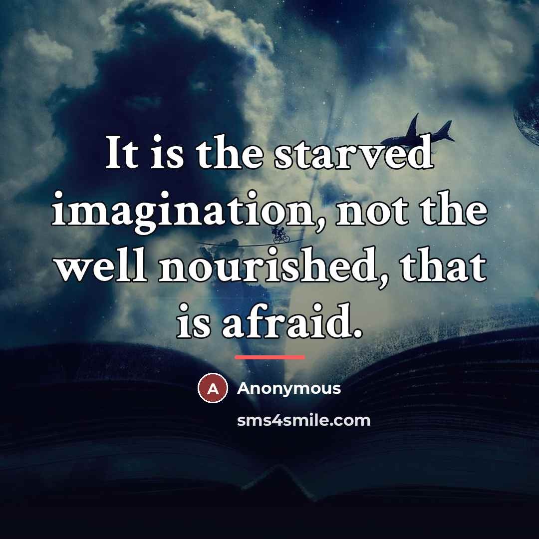 “It is the starved imagination, not the well nourished, that…” quote by Anonymous