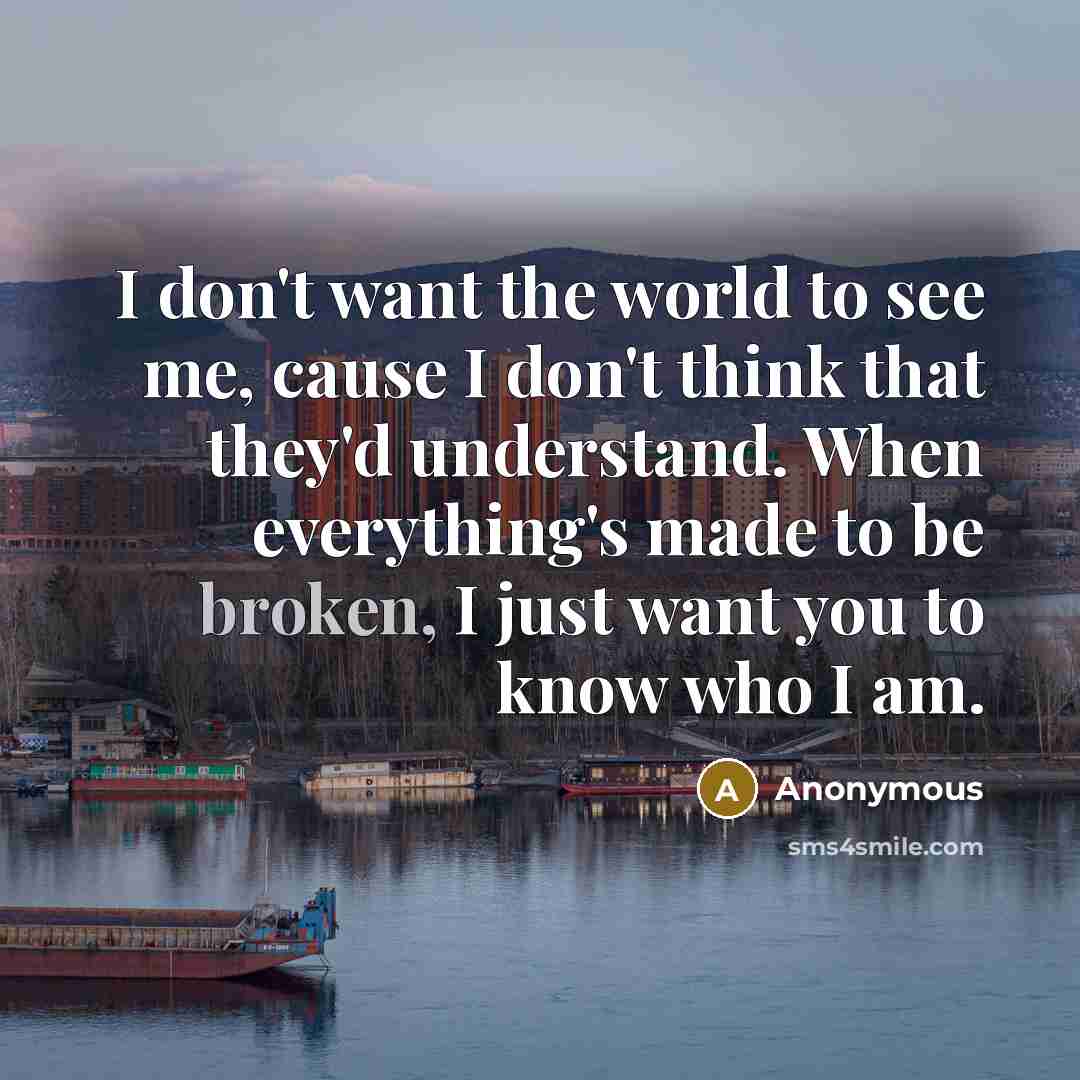 “I don't want the world to see me, cause I…” quote by Anonymous