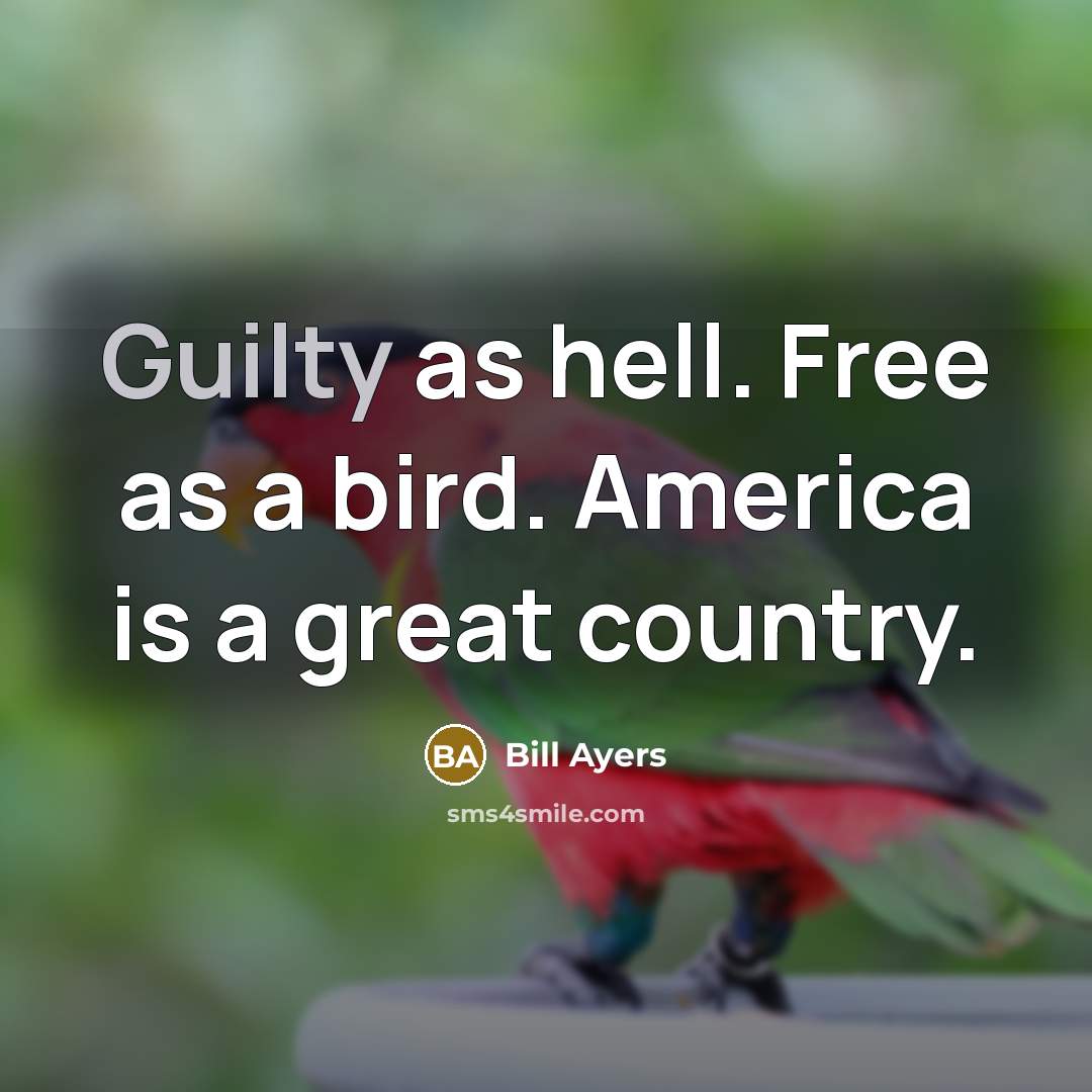 “Guilty as hell. Free as a bird. America is a…” quote by Bill Ayers