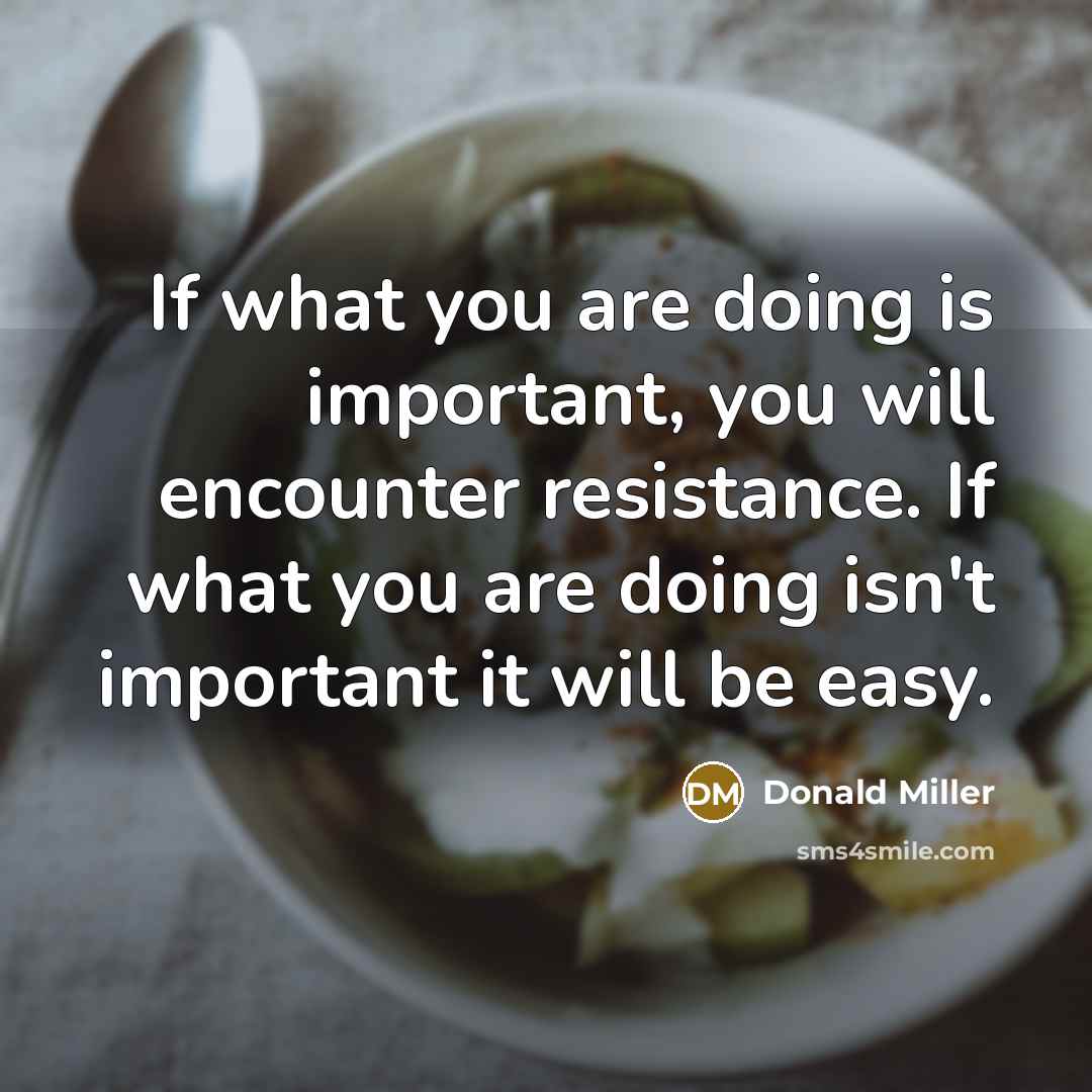 “If what you are doing is important, you will encounter…” quote by Donald Miller
