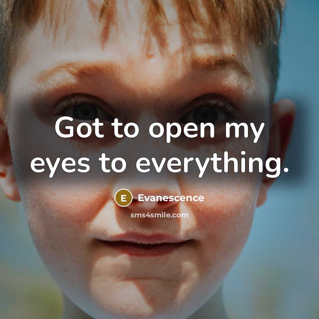 “Got to open my eyes to everything.…” quote by Evanescence