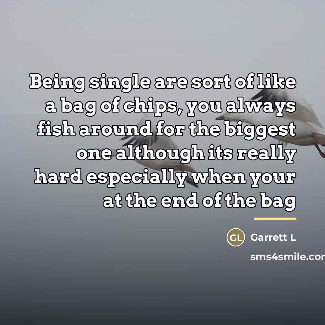 “Being single are sort of like a bag of chips,…” quote by Garrett L