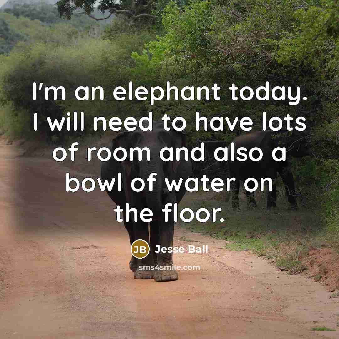 “I'm an elephant today. I will need to have lots of room and also a bowl of water on the floor.” quote by Jesse Ball
