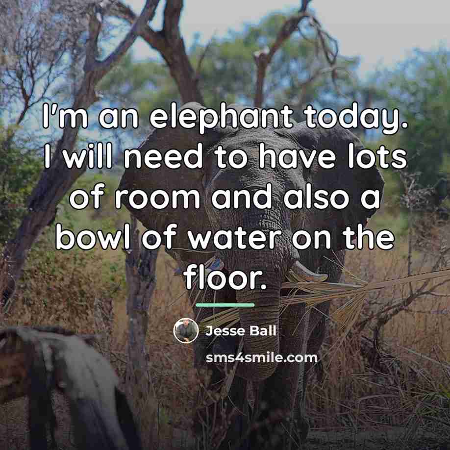 “I'm an elephant today. I will need to have lots…” quote by Jesse Ball