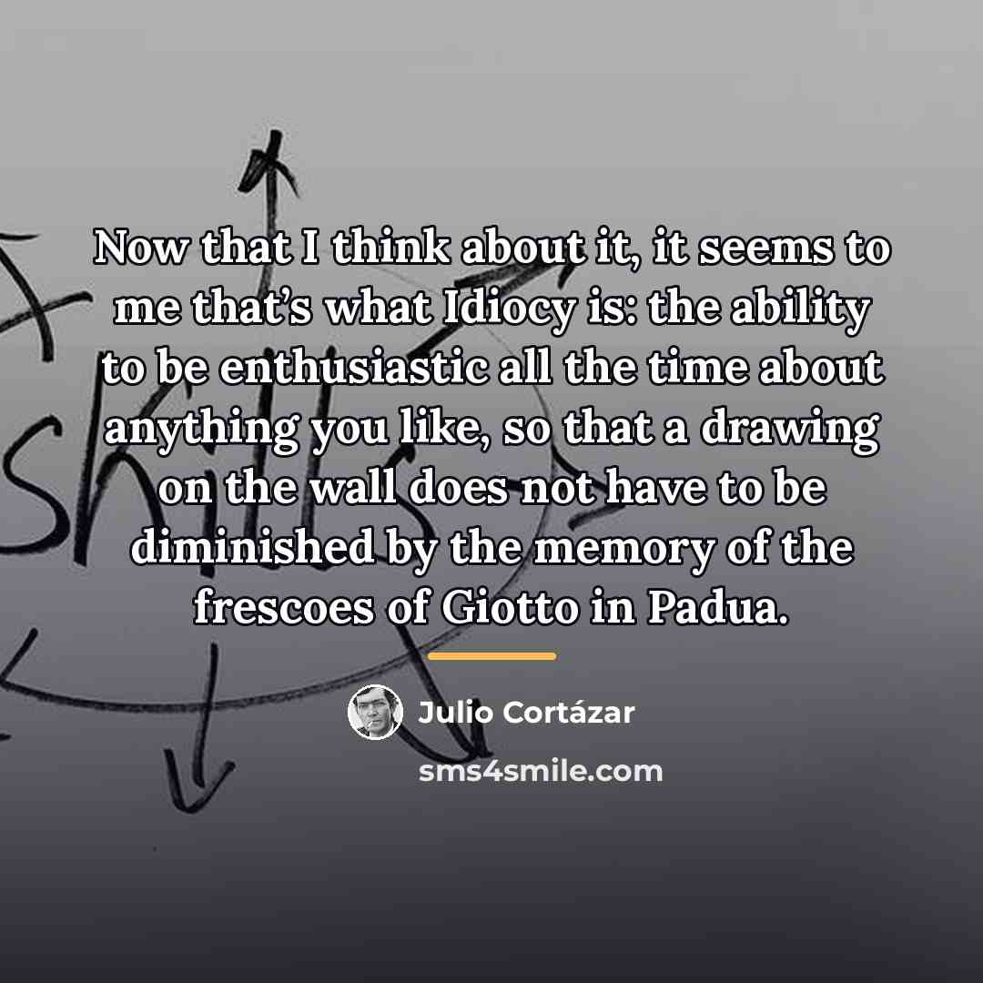 “Now that I think about it, it seems to me…” quote by Julio Cortazar