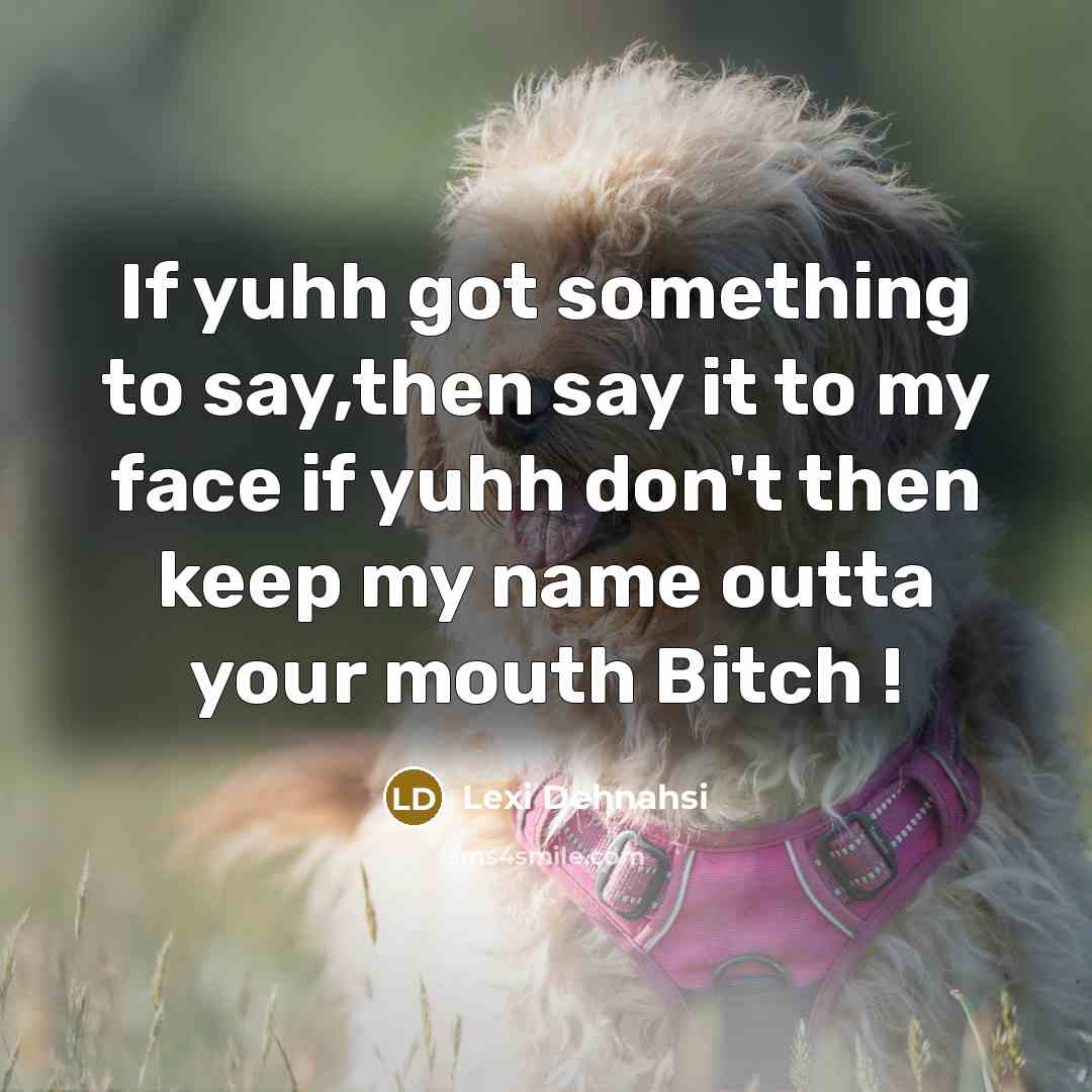 “If yuhh got something to say,then say it to my face if yuhh don't then keep my name outta your mouth Bitch !” quote by Lexi Dehnahsi