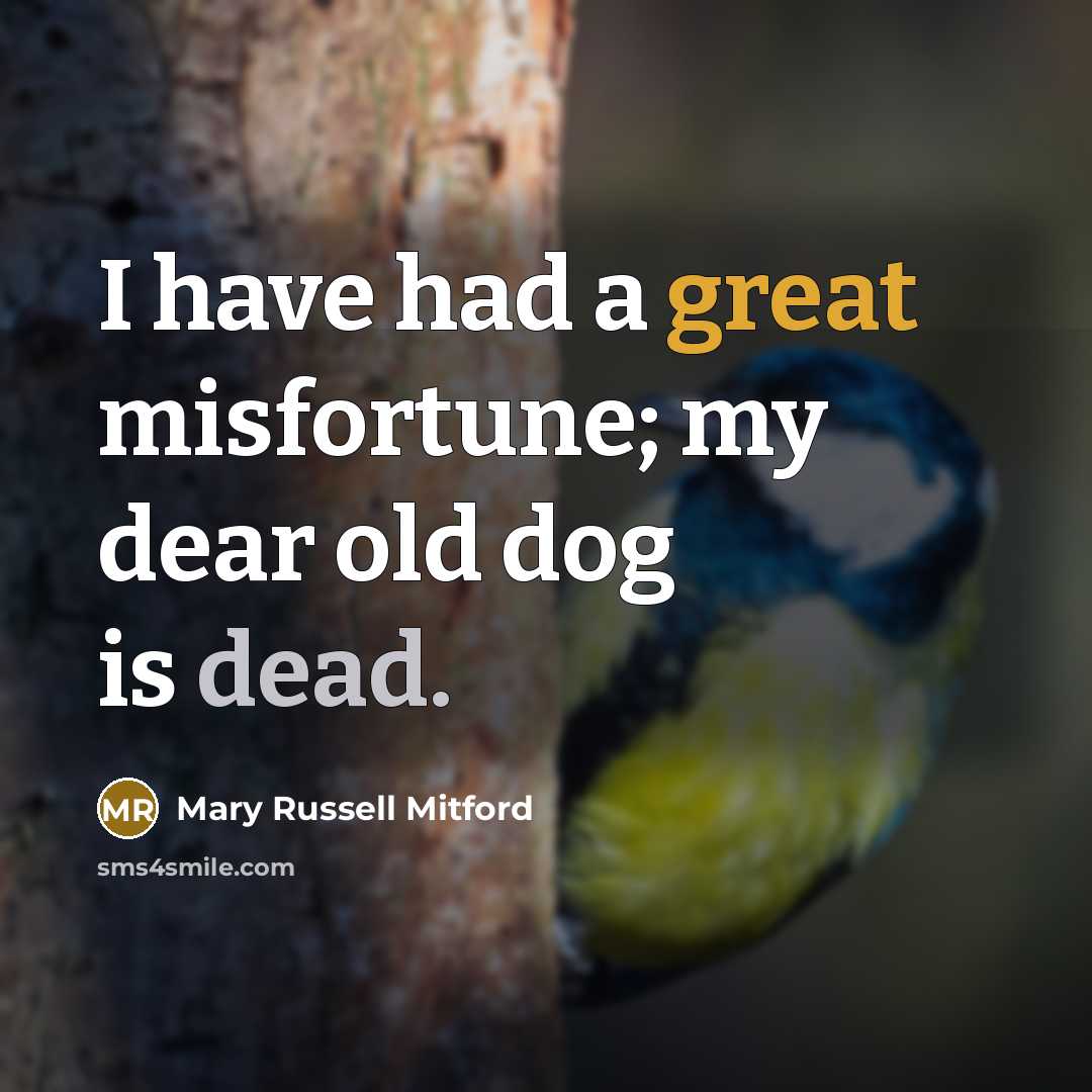 “I have had a great misfortune; my dear old dog…” quote by Mary Russell Mitford