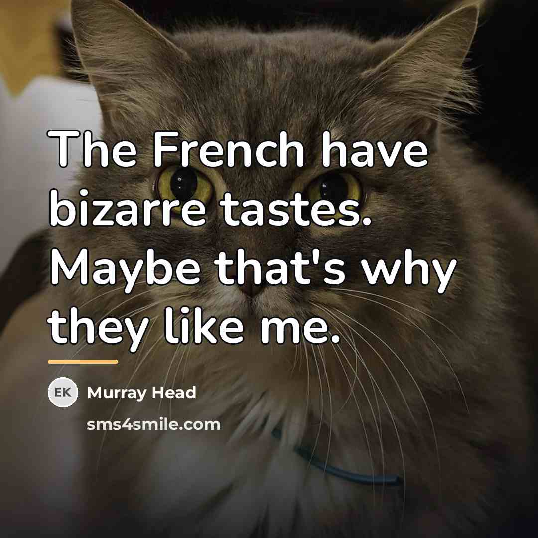 “The French have bizarre tastes. Maybe that's why they like…” quote by Murray Head