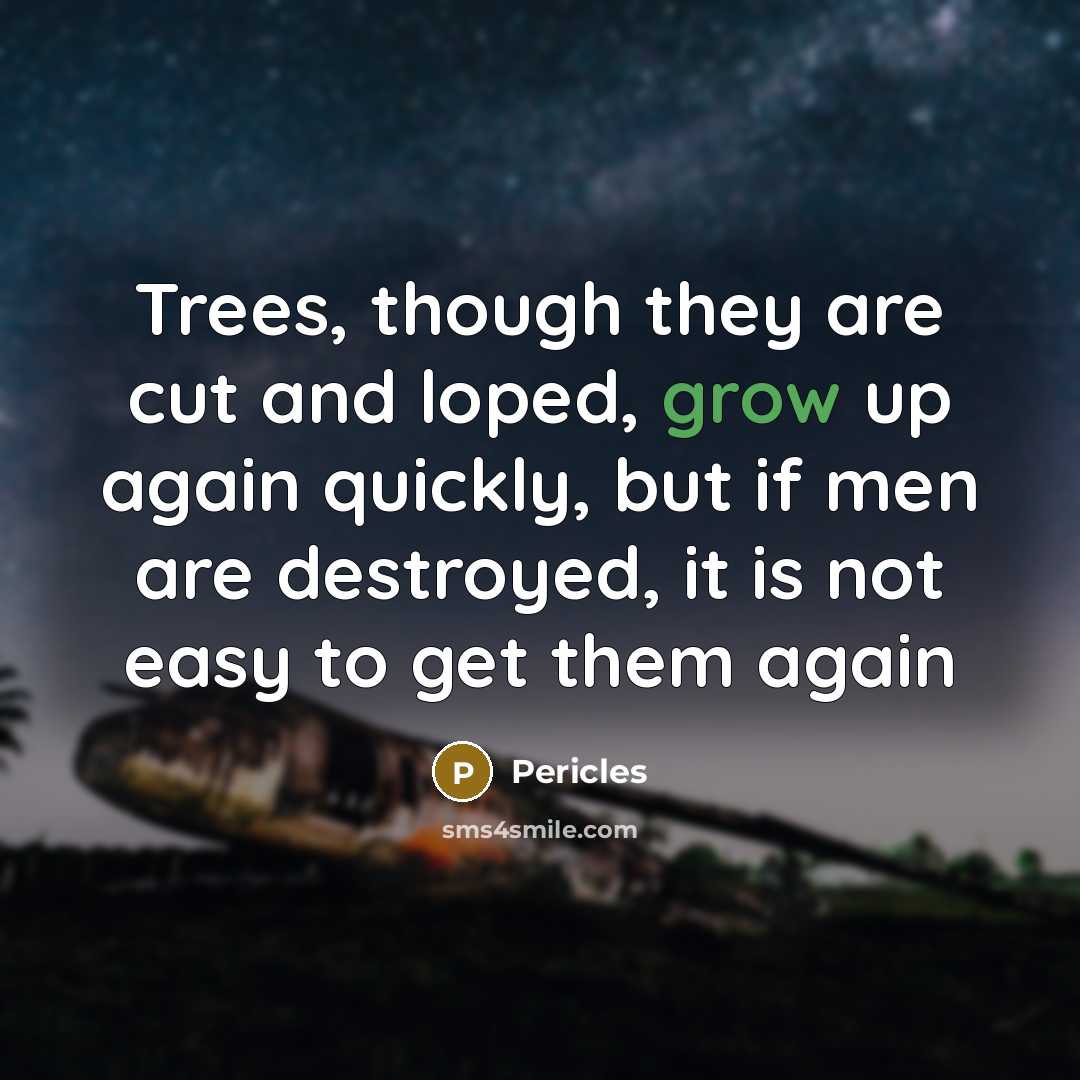 “Trees, though they are cut and loped, grow up again…” quote by Pericles