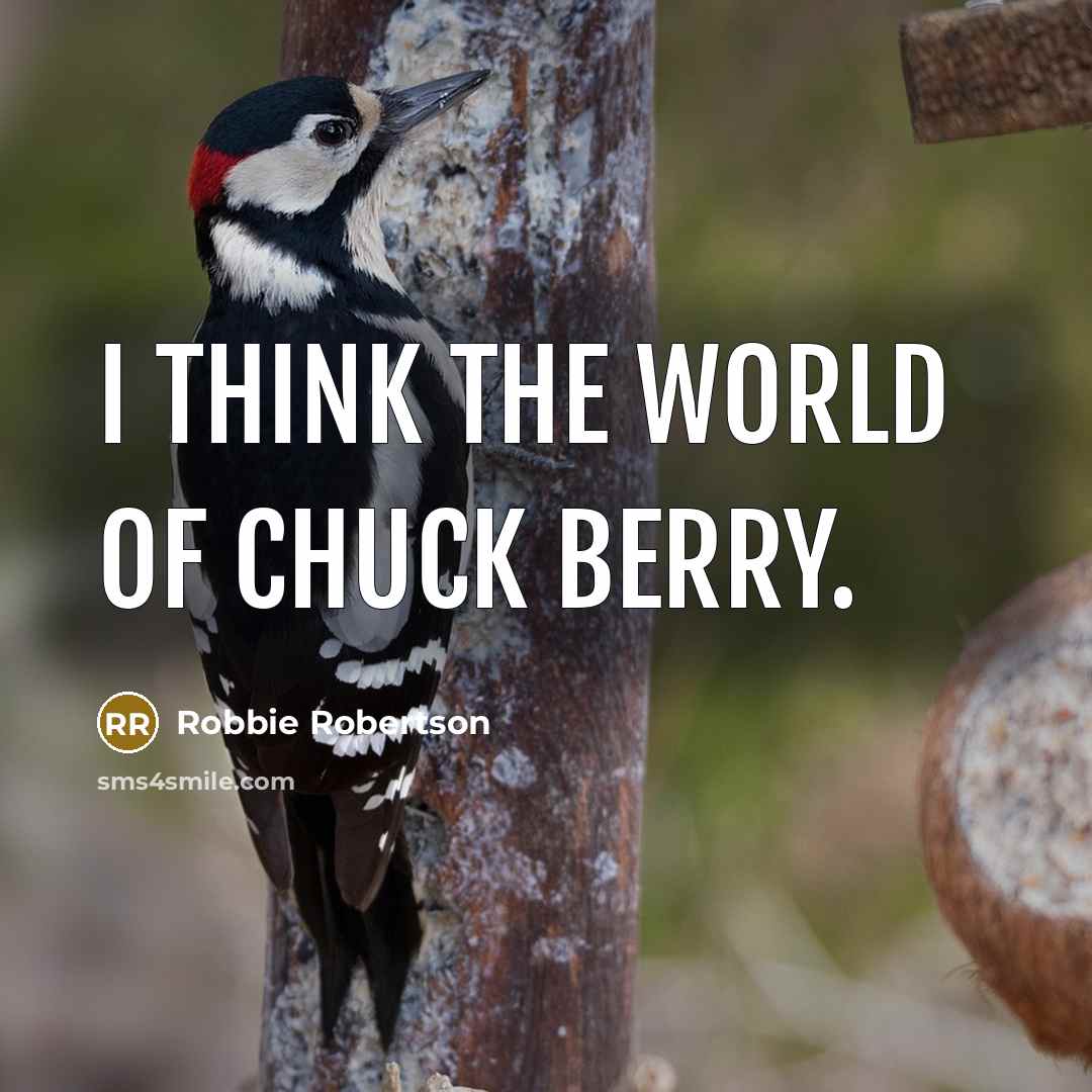 “I think the world of Chuck Berry.…” quote by Robbie Robertson