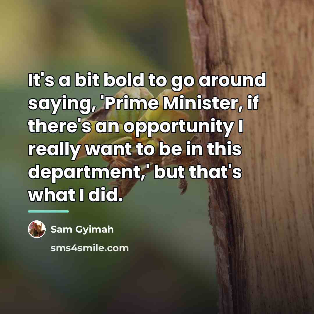 “It's a bit bold to go around saying, 'Prime Minister,…” quote by Sam Gyimah
