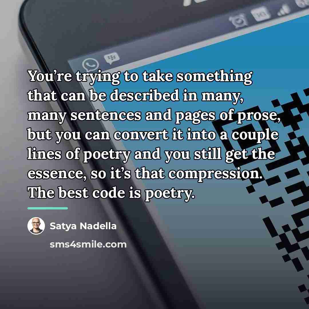 “You’re trying to take something that can be described in…” quote by Satya Nadella