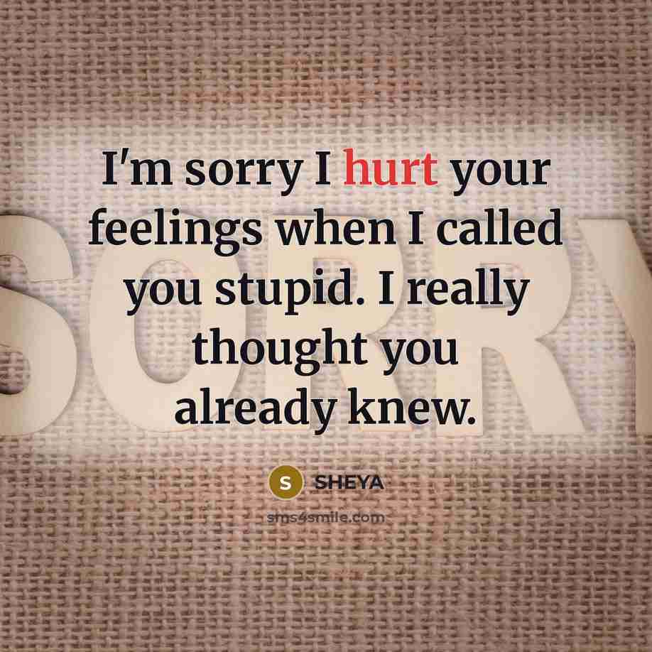 “I'm sorry I hurt your feelings when I called you…” quote by SHEYA