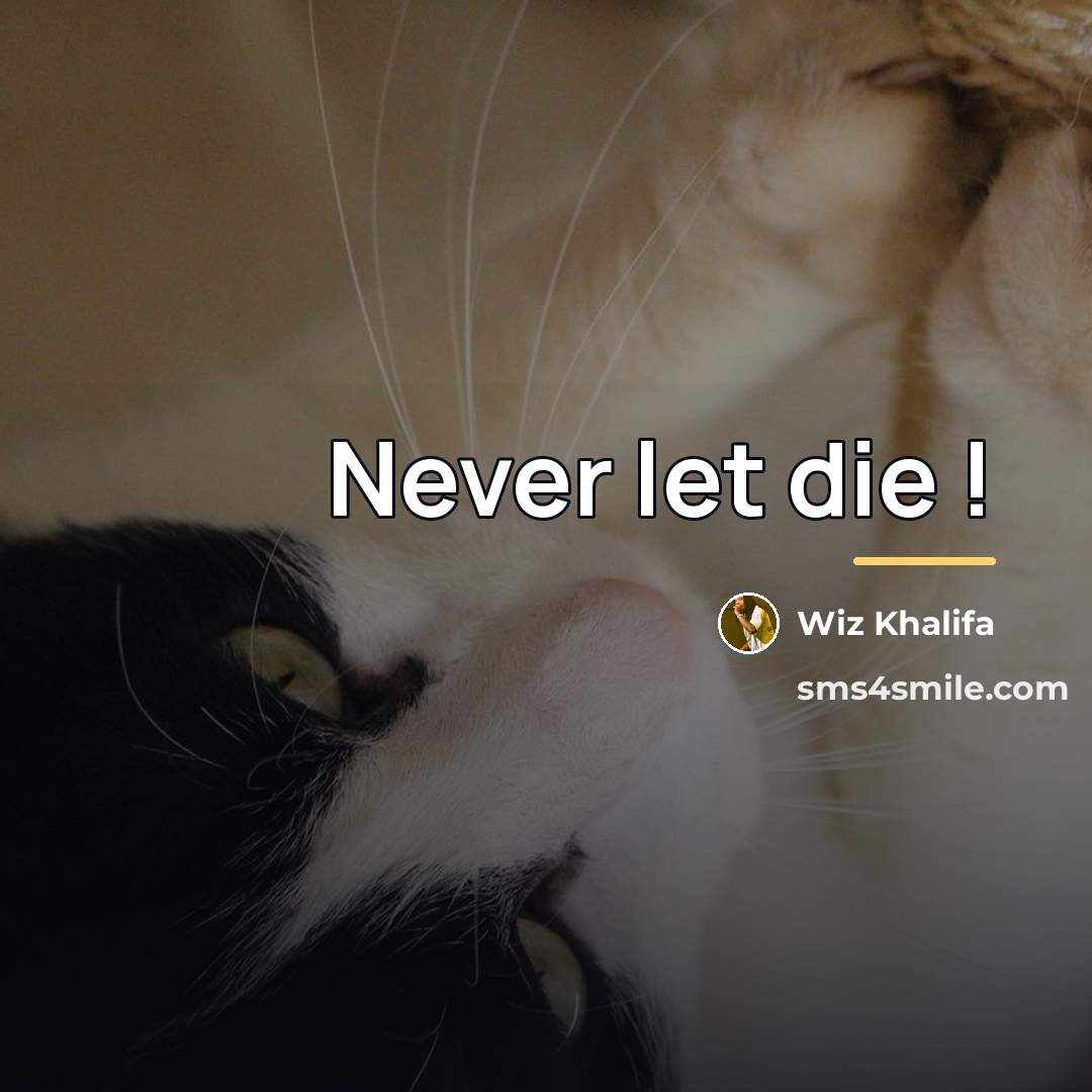 “Never let die !…” quote by Wiz Khalifa