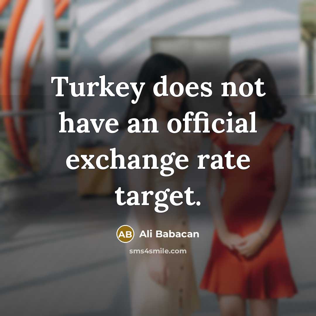 “Turkey does not have an official exchange rate target.…” quote by Ali Babacan